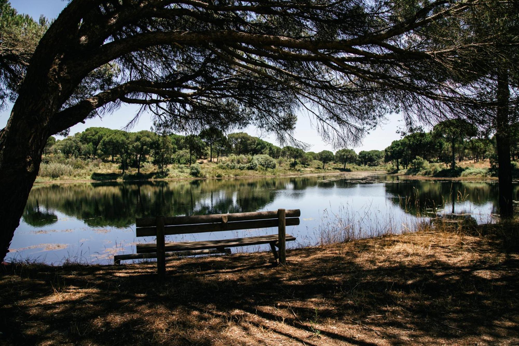Herdade De Montalvo - Comporta Exteriör bild