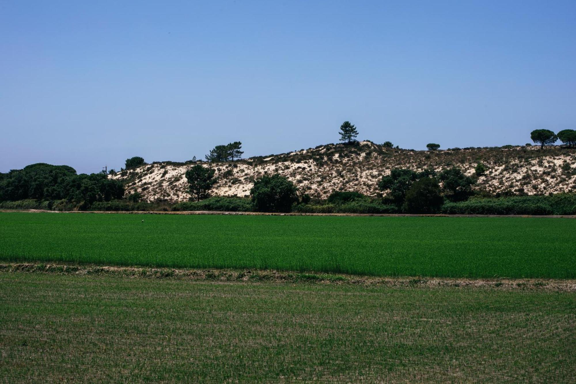 Herdade De Montalvo - Comporta Exteriör bild