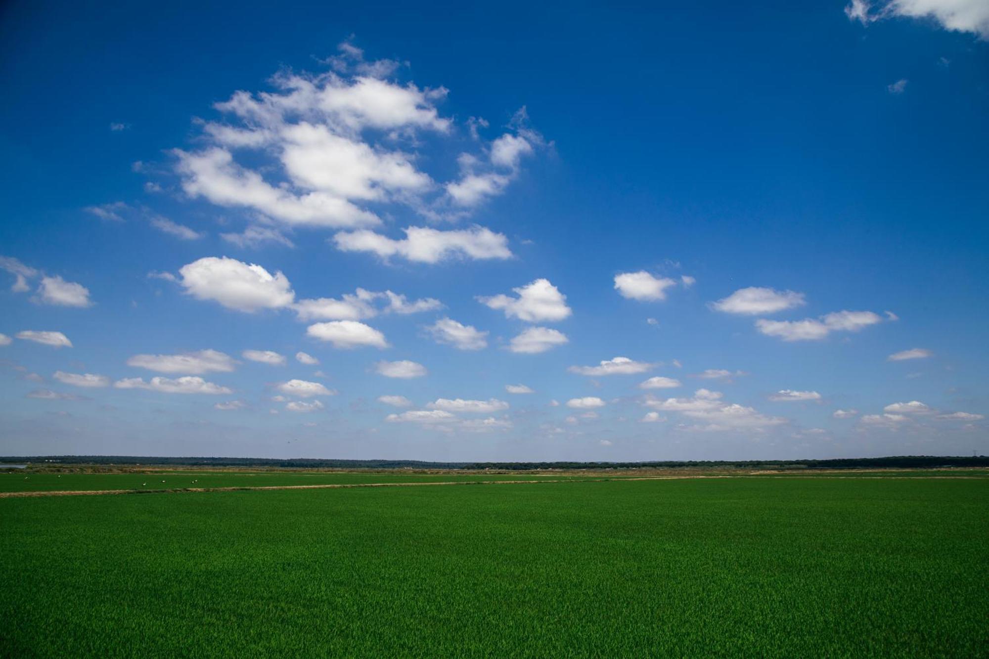 Herdade De Montalvo - Comporta Exteriör bild