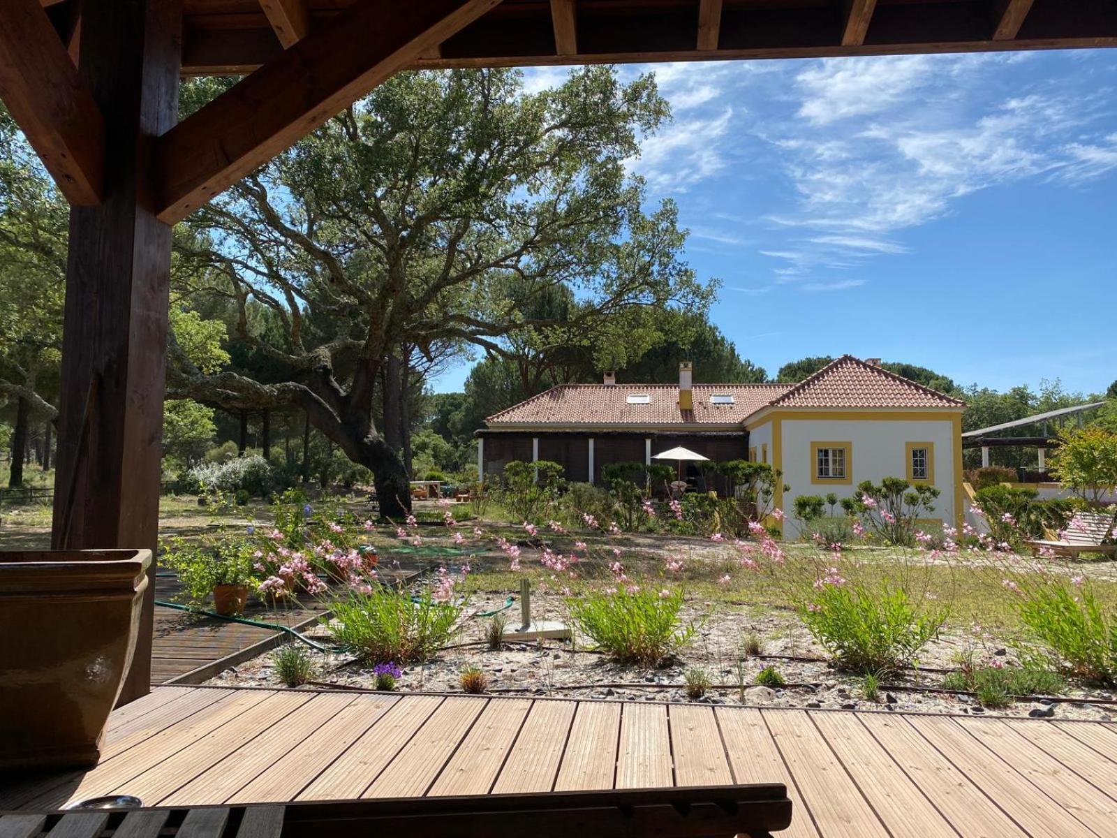 Herdade De Montalvo - Comporta Exteriör bild