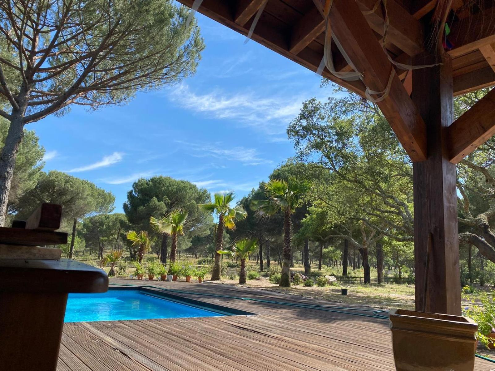 Herdade De Montalvo - Comporta Exteriör bild